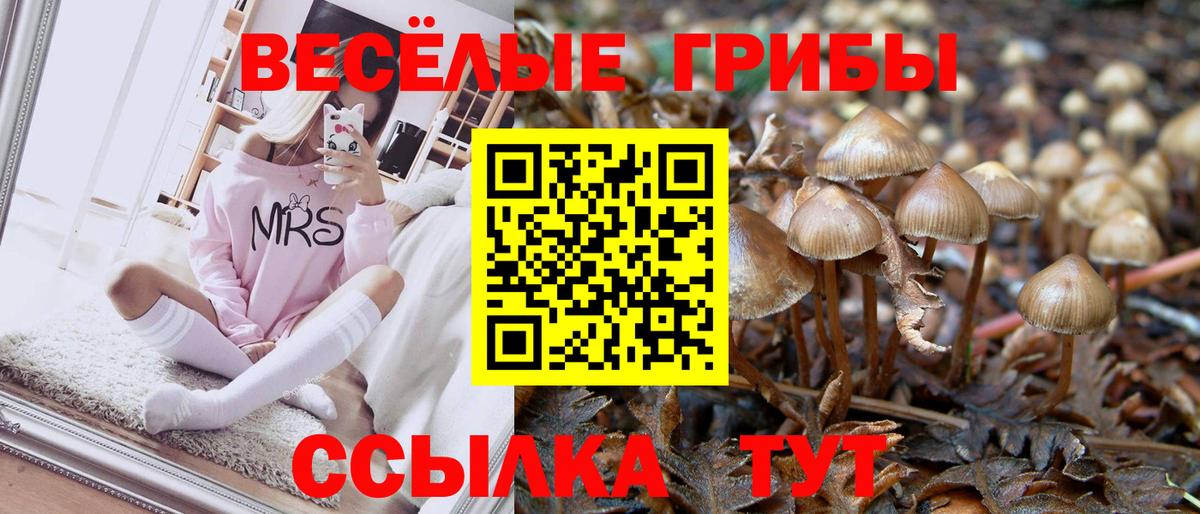 Псилоцибиновые грибы Psilocybine cubensis  где купить наркотик  Вход с VPN  Горячий Ключ  Псилоцибиновые грибы MAGIC MUSHROOMS 